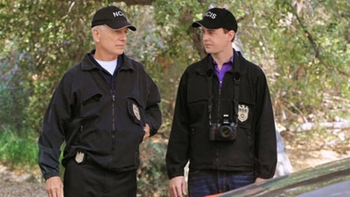 NCIS 10. évad A névrokon online