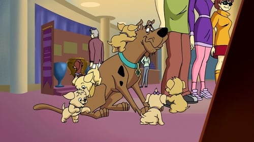 Mizújs, Scooby-Doo? 2. évad Kutyakiállítás online