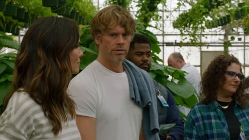 NCIS: Los Angeles 14. évad 18. epizód online