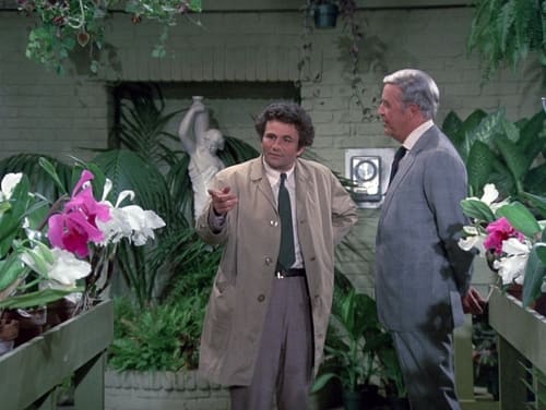 Columbo 2. évad Melegházi dzsungel online