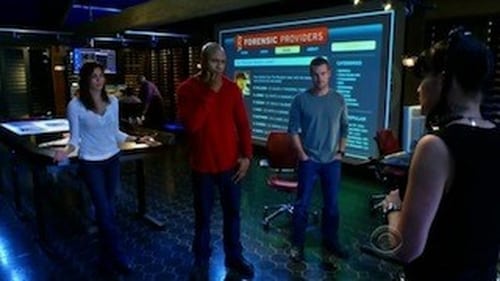 NCIS: Los Angeles 1. évad Szándékos véletlen online