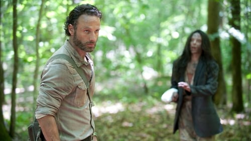 The Walking Dead 4. évad 30 balesetmentes nap online