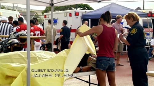 Hawaii Five-0 1. évad Fájdalom földje online