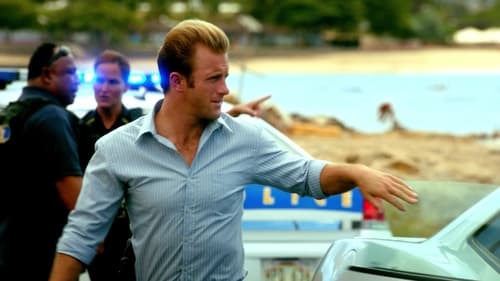 Hawaii Five-0 2. évad A gyógyulás online