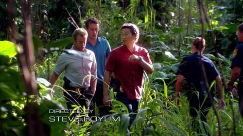 Hawaii Five-0 2. évad A hagyományőrzők online