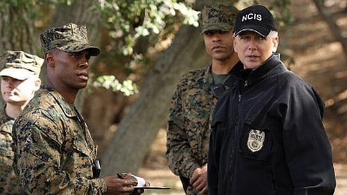 NCIS 11. évad Alibi online