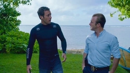 Hawaii Five-0 4. évad Vértestvérek online