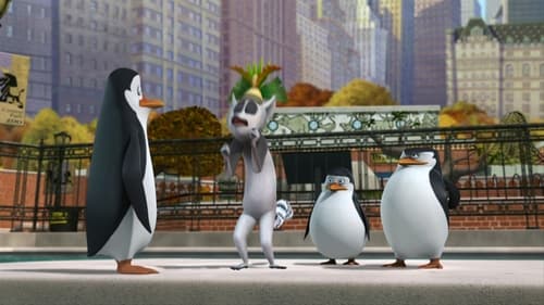 A Madagaszkár pingvinjei 1. évad Napfogyatkozás online