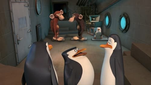 A Madagaszkár pingvinjei 1. évad Phil-en túl online