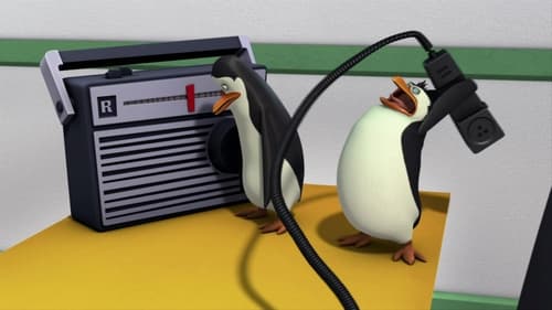 A Madagaszkár pingvinjei 2. évad Kívánságok online