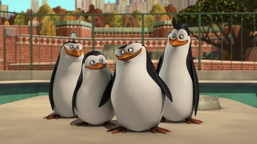 A Madagaszkár pingvinjei 2. évad Megáll az idő online