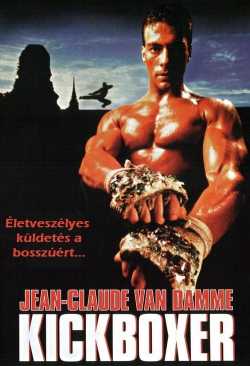 Kickboxer online