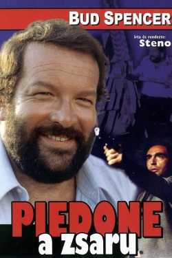 Piedone, a zsaru online