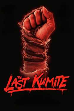 The Last Kumite online