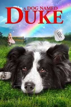 Kutyám Duke online