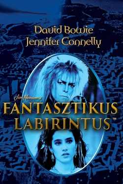 Fantasztikus labirintus online