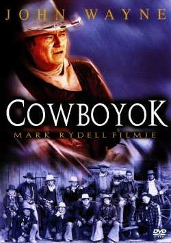 Cowboyok online