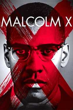 Malcolm X online