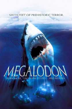 Megalodon online