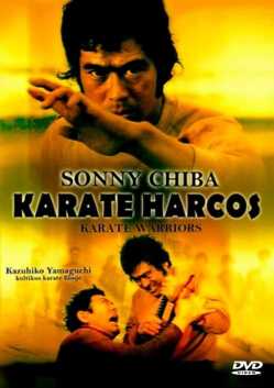 Karate harcos online