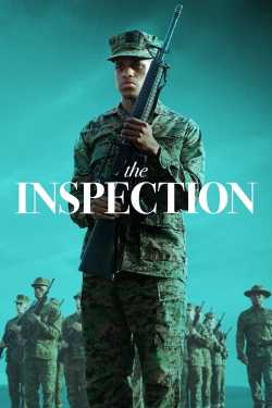 The Inspection online