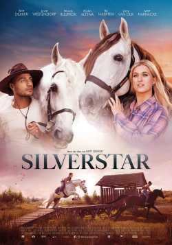 Silverstar online