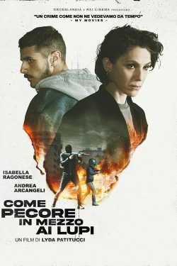 Come pecore in mezzo ai lupi teljes film