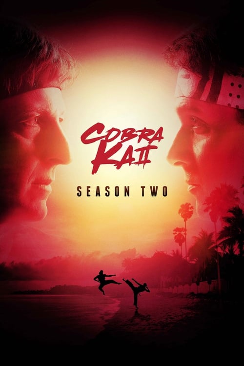 Cobra Kai 2. évad online