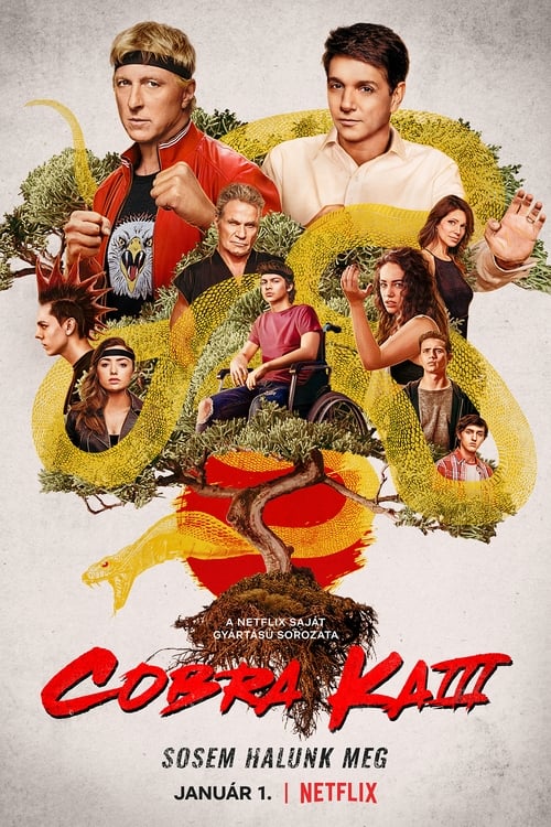 Cobra Kai 3. évad online