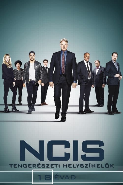 NCIS 18. évad online