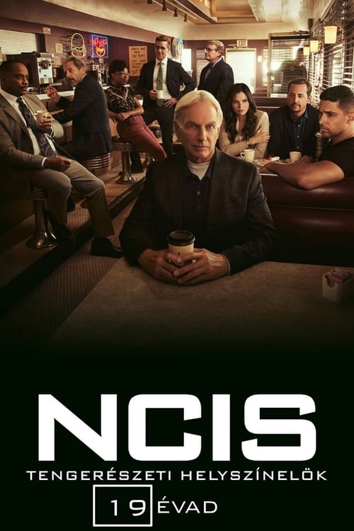 NCIS 19. évad online