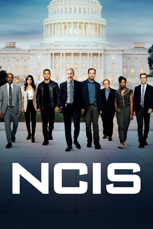 NCIS 20. évad online