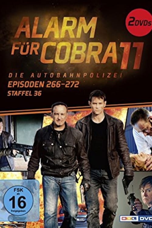 Cobra 11 36. évad online