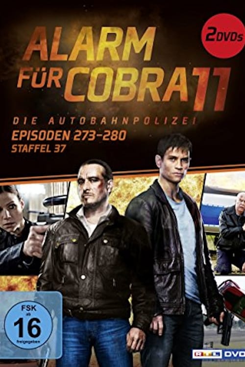 Cobra 11 37. évad online