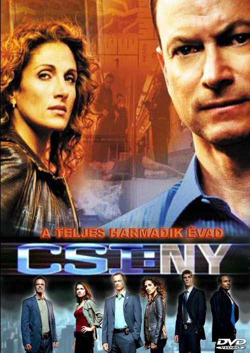 CSI: New York-i helyszínelők 3. évad online