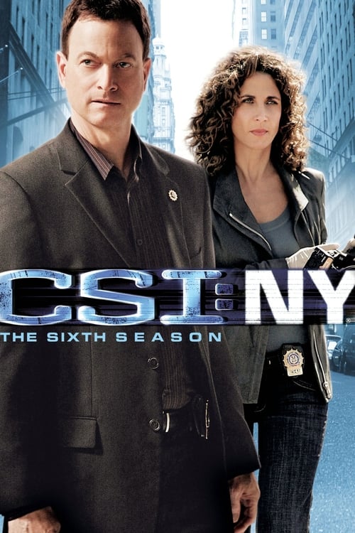 CSI: New York-i helyszínelők 6. évad online