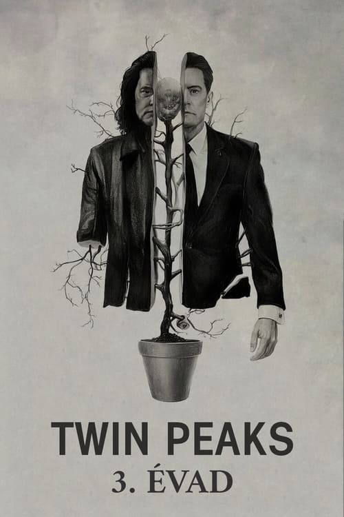 Twin Peaks 3. évad online