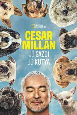 Cesar Millan: Jó gazdi, jó kutya online