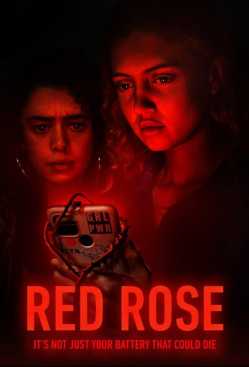 Vörös Rózsa online