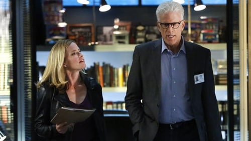 CSI: A helyszínelők 15. évad Kössünk üzletet online