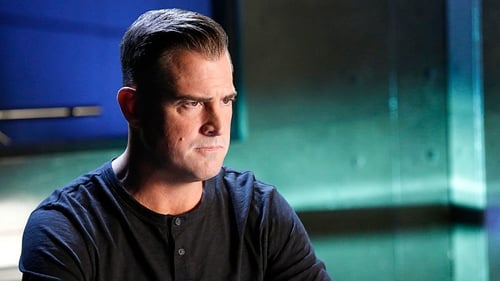 CSI: A helyszínelők 15. évad Halott erdő online