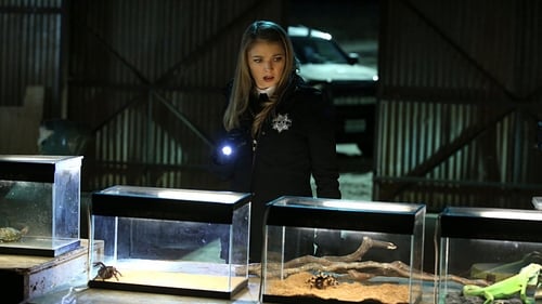 CSI: A helyszínelők 15. évad A böröm alatt online