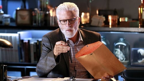 CSI: A helyszínelők 15. évad Végjáték online