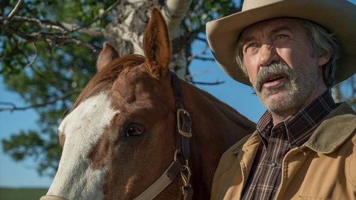 Heartland 9. évad 4. epizód online
