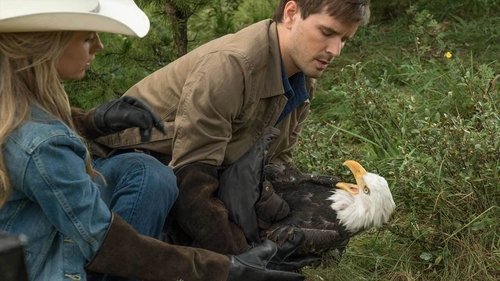 Heartland 9. évad 6. epizód online