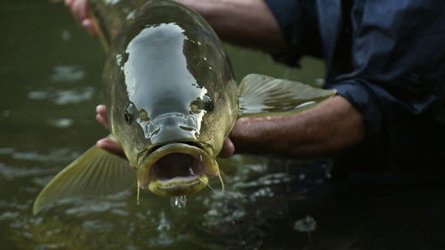 Jeremy Wade's Mighty Rivers 1. évad 1. epizód online