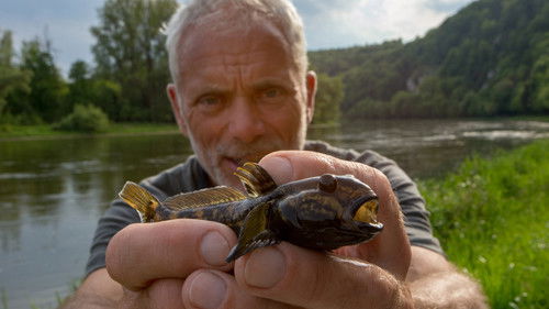 Jeremy Wade's Mighty Rivers 1. évad 4. epizód online