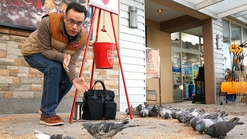 Superstore - Az agyament műszak 5. évad Játék Sofőr online