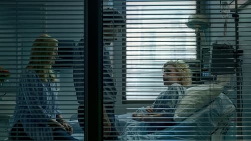 Ozark 3. évad Vészhelyzetben online