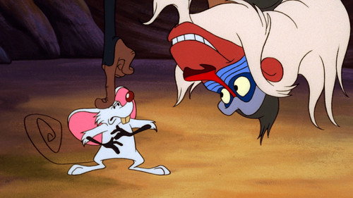 Timon és Pumba a Föld körül 1. évad Jó egértartást online